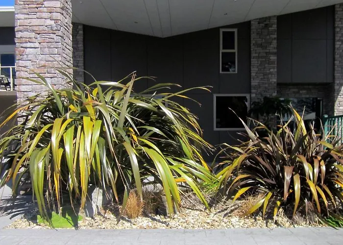 284 - Refurbished Modern 5* Rotorua
